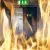 fire-door-solutions